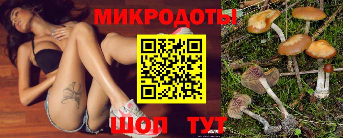 Бошки Шишки Калининград