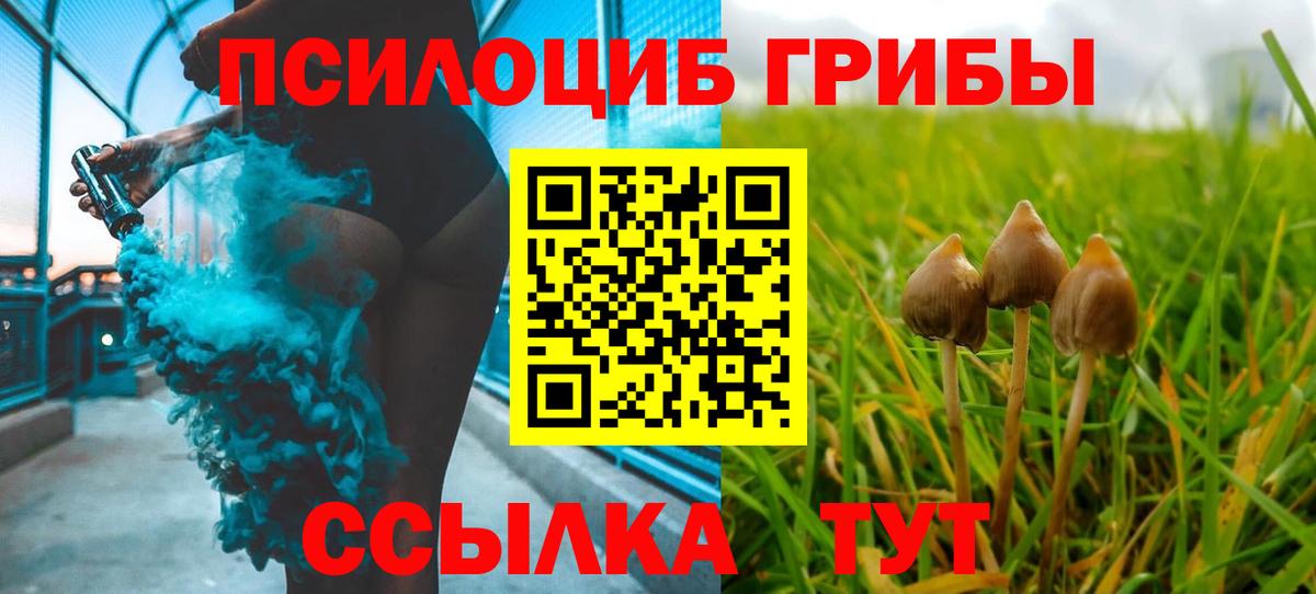 Галлюциногенные грибы Cubensis  Галлюциногенные грибы Magic Shrooms  Калининград  Вход с VPN 